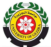 E - Learning University of Gezira